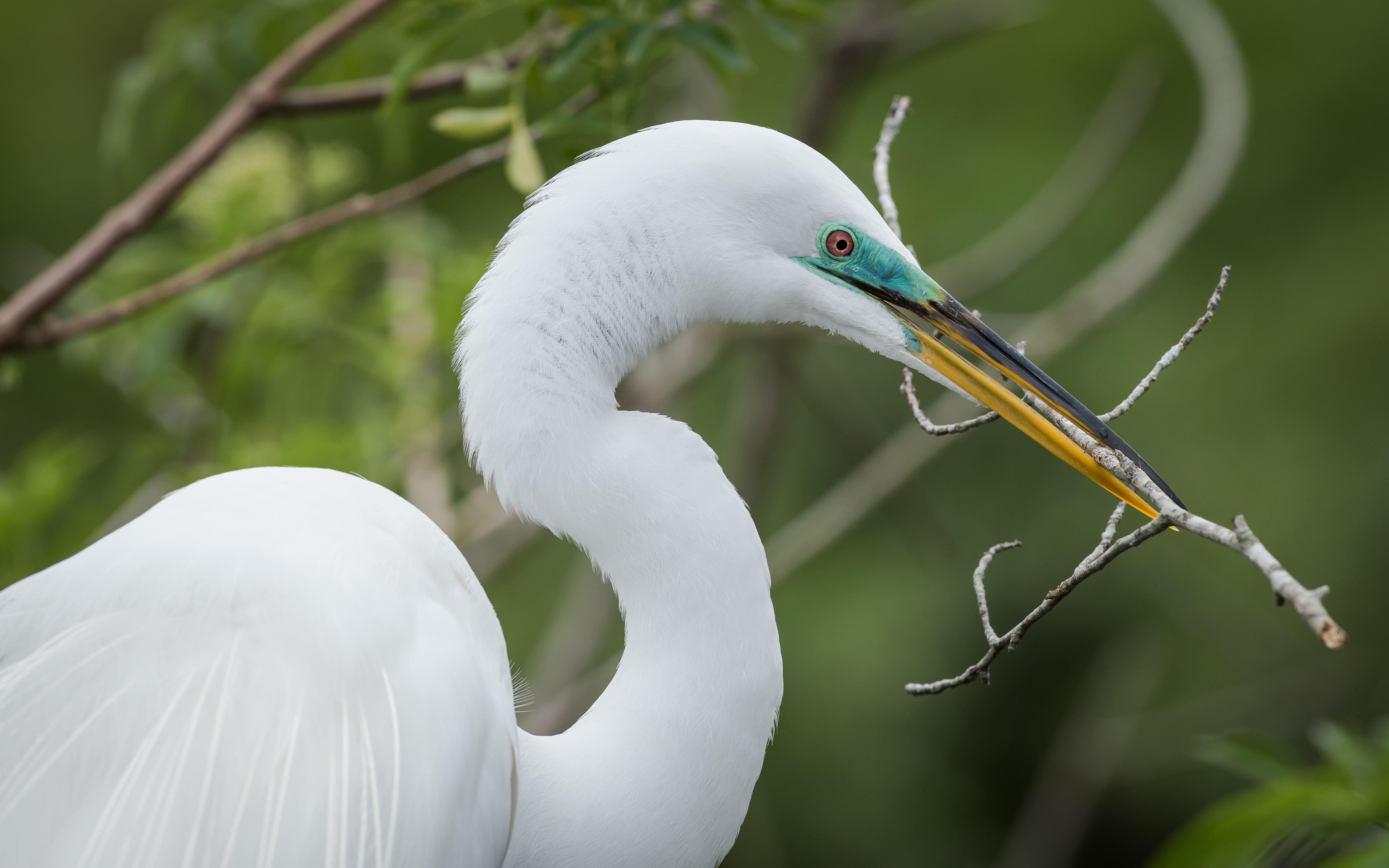 Shingle Creek Regional Park in Kissimmee image