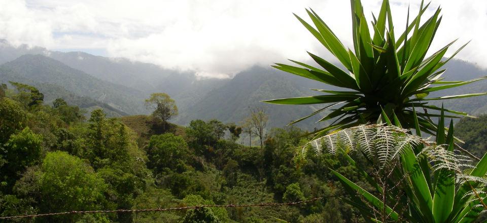 Del Este National Park