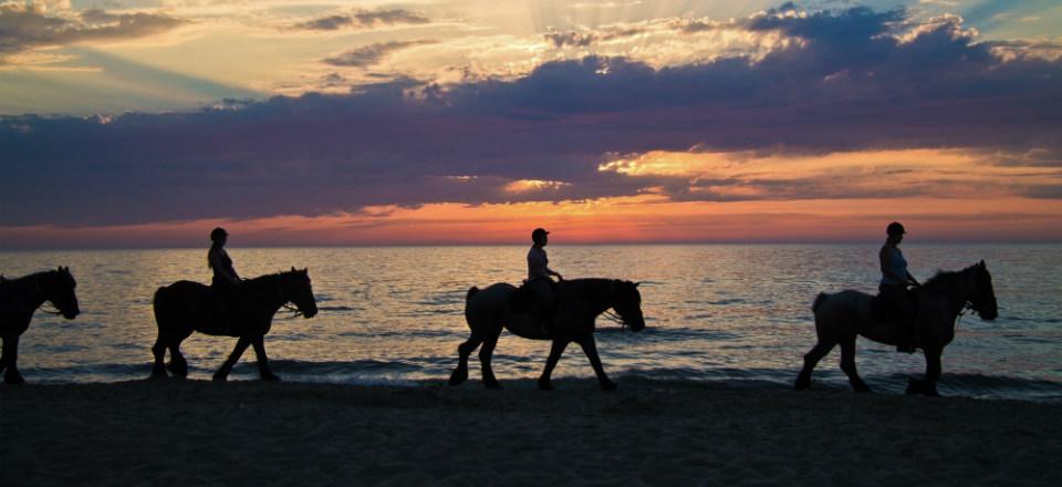 Horse riding image