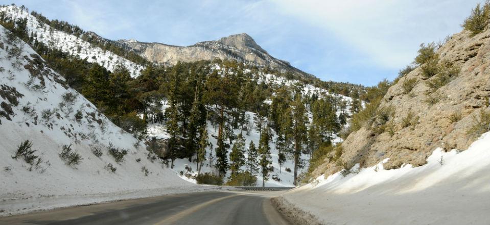 Mount Charleston USA image