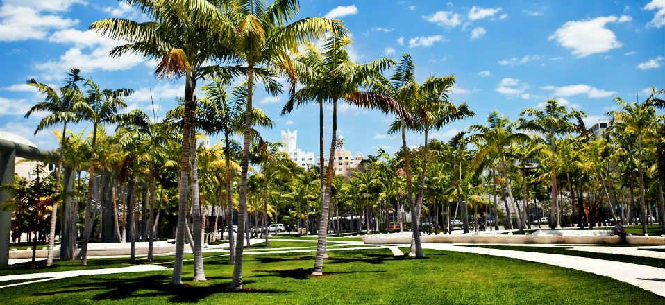 Bayfront Park In Miami image