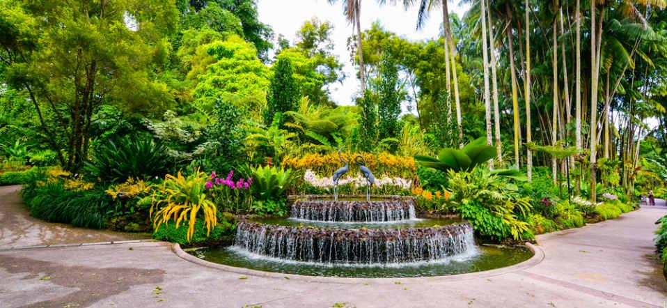 National Orchid Garden Singpore image