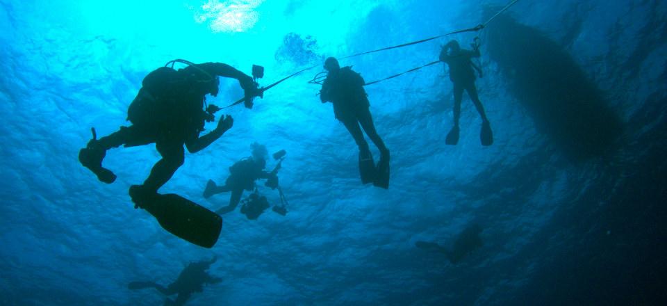 Ocean Revival Underwater Park, Algarve image