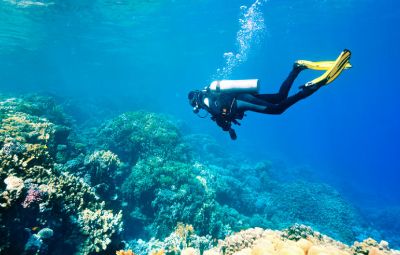 Albatros Diving image