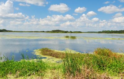 Exploring the outdoors in Orlando image