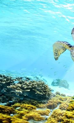 Hurghada