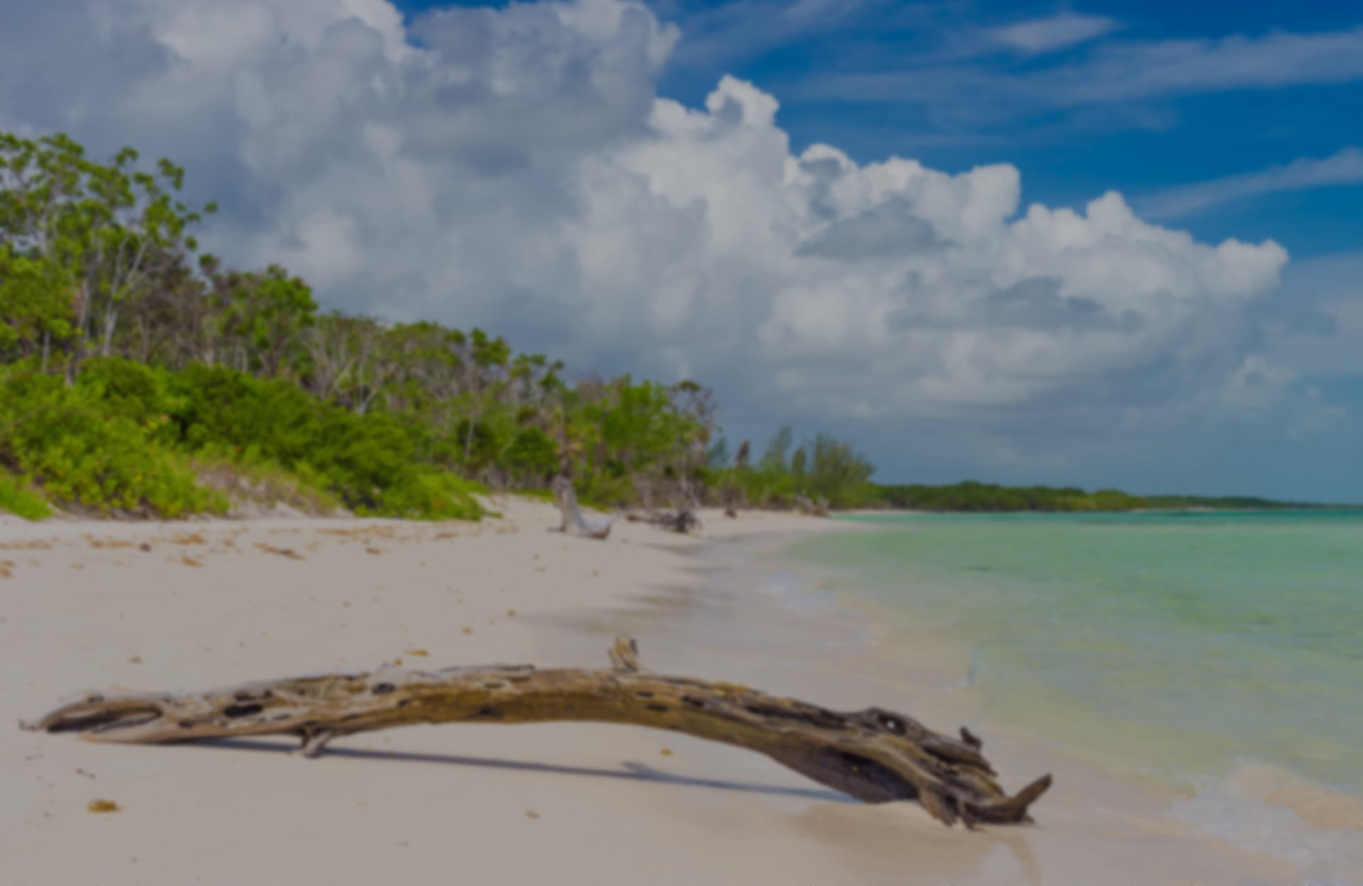 Cayo Coco card image